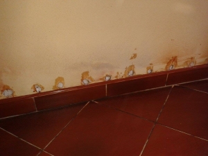 Vybrané ukázky z realizace chemické injektáže zdiva